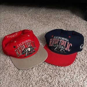 California Republic Snapback Hats